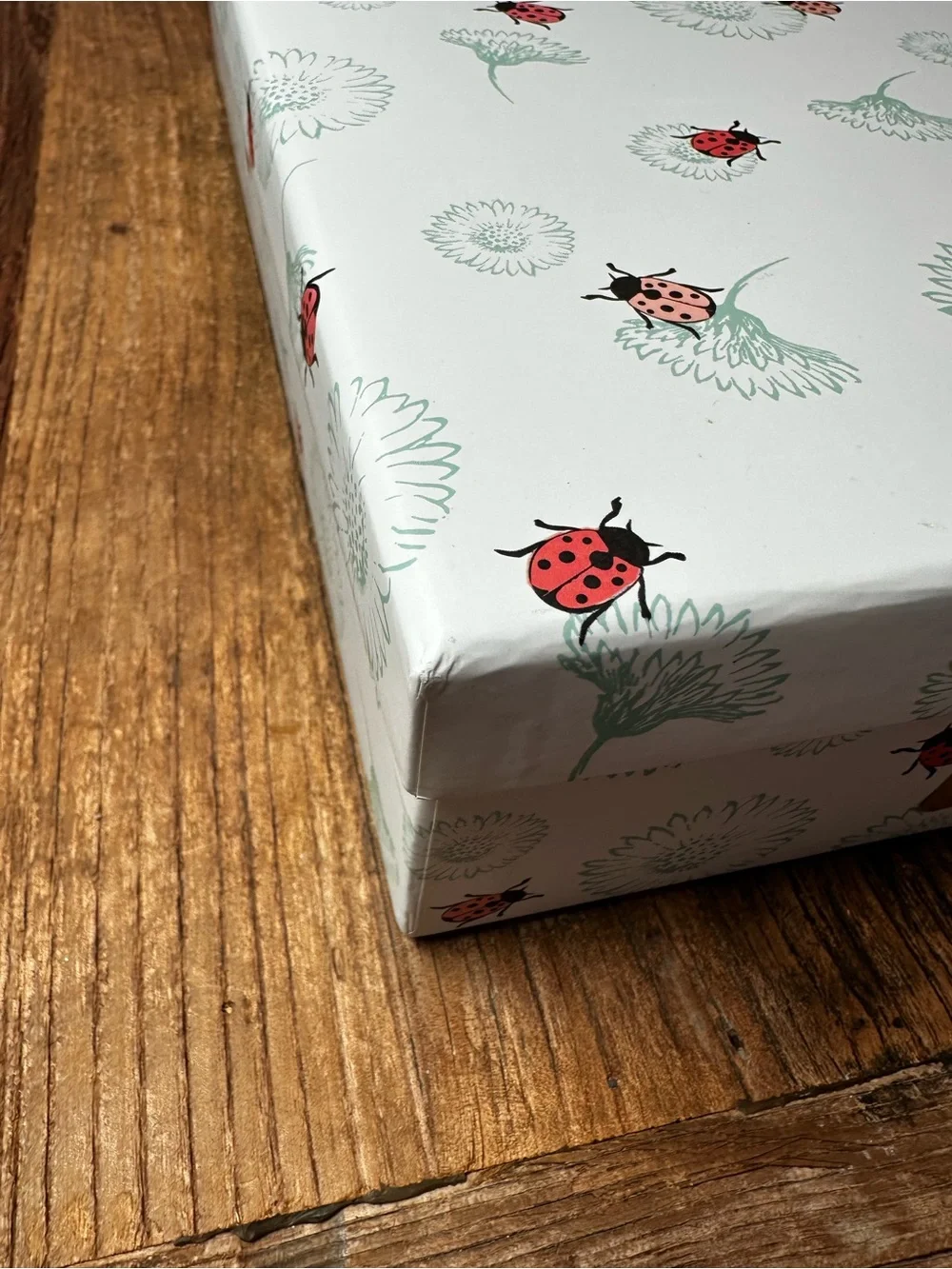 Decorative Ladybug Floral Storage Box in White and Pink